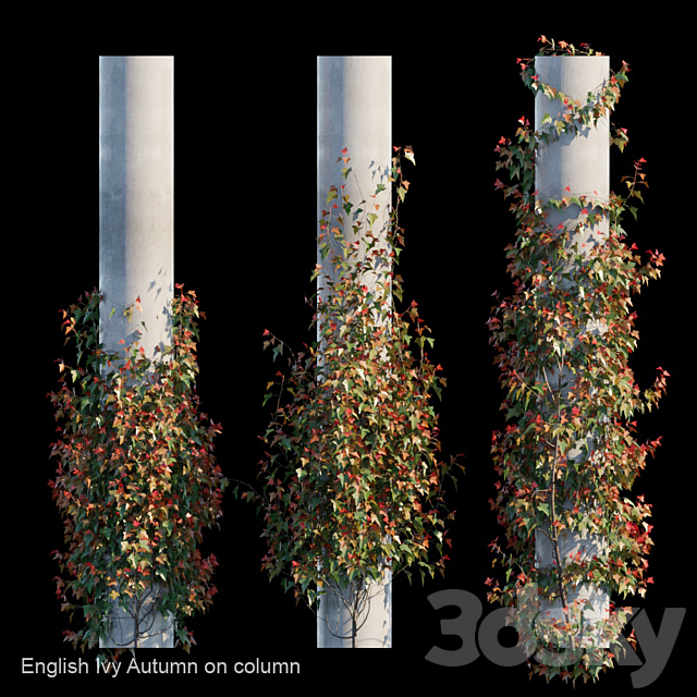 English Ivy Autumn on column 3DS Max Model - thumbnail 1