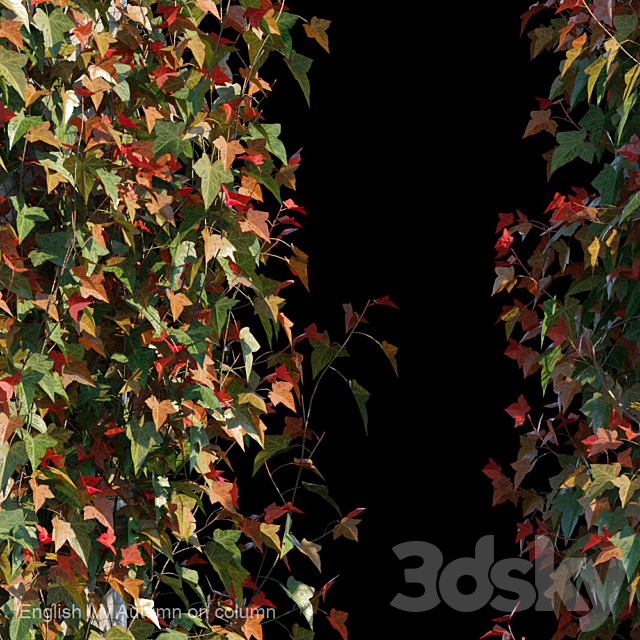 English Ivy Autumn on column 3DS Max Model - thumbnail 2