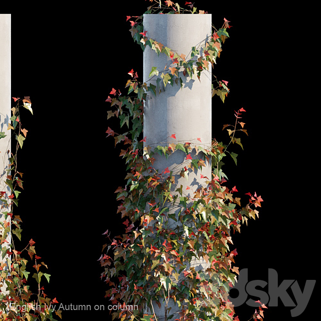 English Ivy Autumn on column 3DS Max Model - thumbnail 3