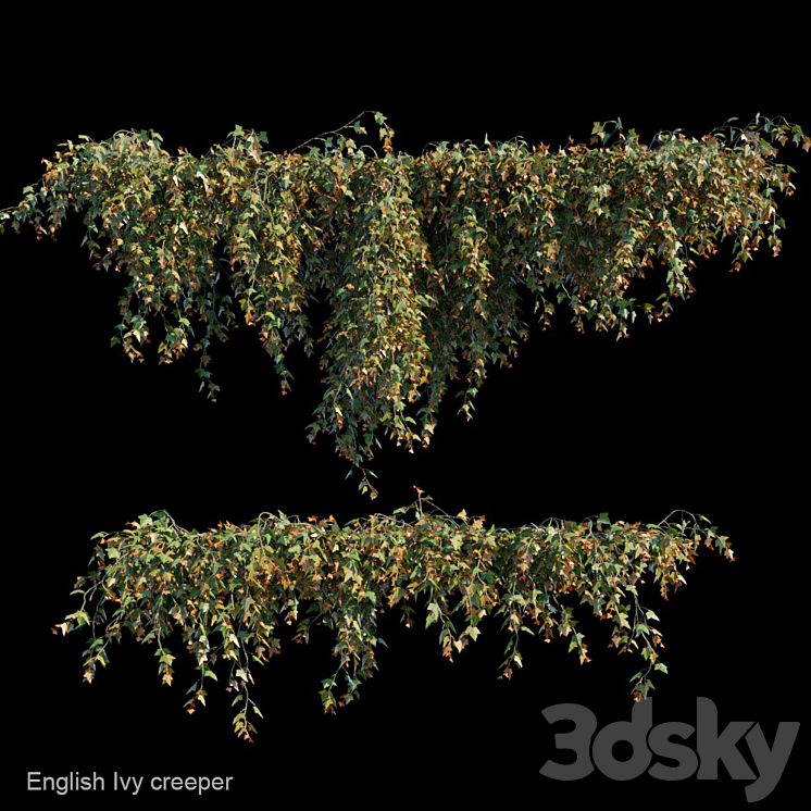 English Ivy creeper 3DS Max - thumbnail 1