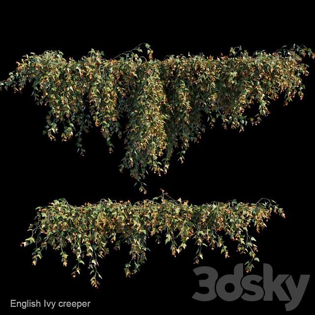 English Ivy creeper 3DSMax File - thumbnail 1