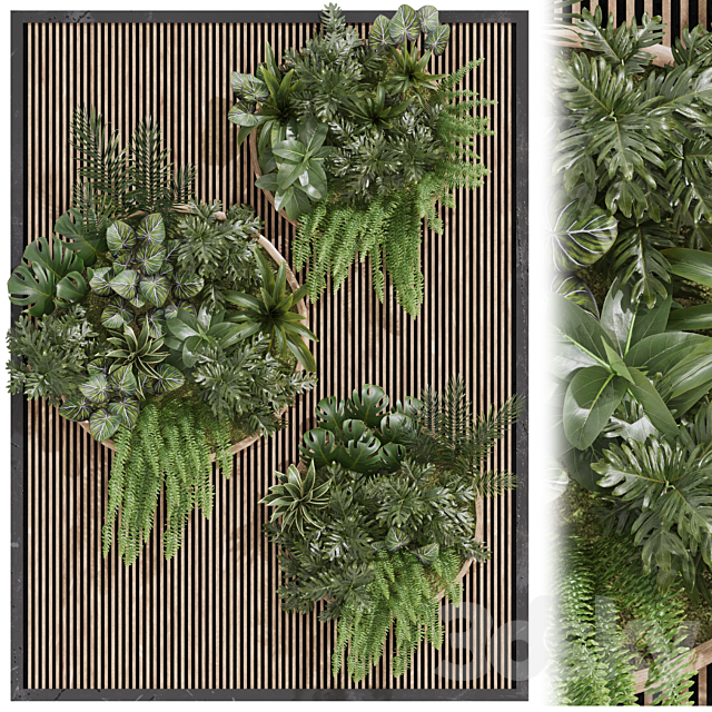 Fitowall garden plants set 23 3ds Max - thumbnail 1