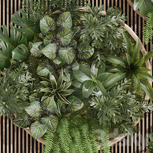 Fitowall garden plants set 23 3ds Max - thumbnail 3