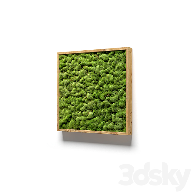 Framed moss 3DS Max Model - thumbnail 2