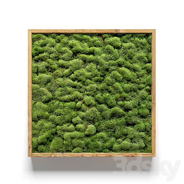 Framed moss 3DS Max Model - thumbnail 3