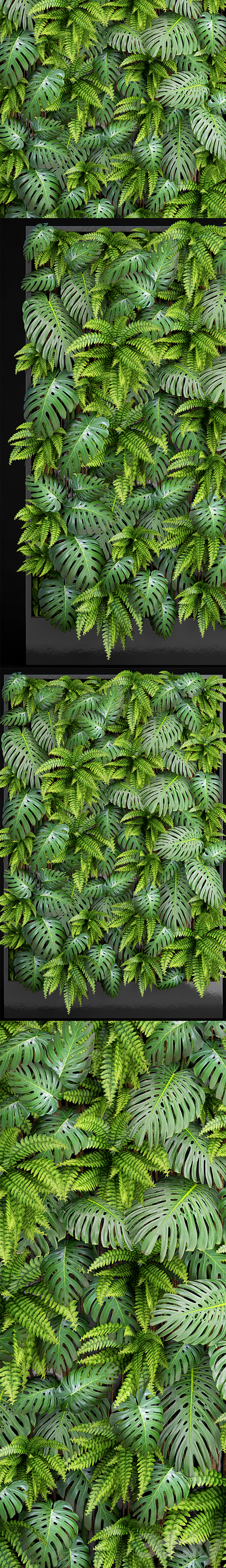 Fytowall 1. Vertical garden phytowall phytomodl landscaping green picture bush wall decor branches monstera fern eco eco decor loft 3DS Max Model - thumbnail 2