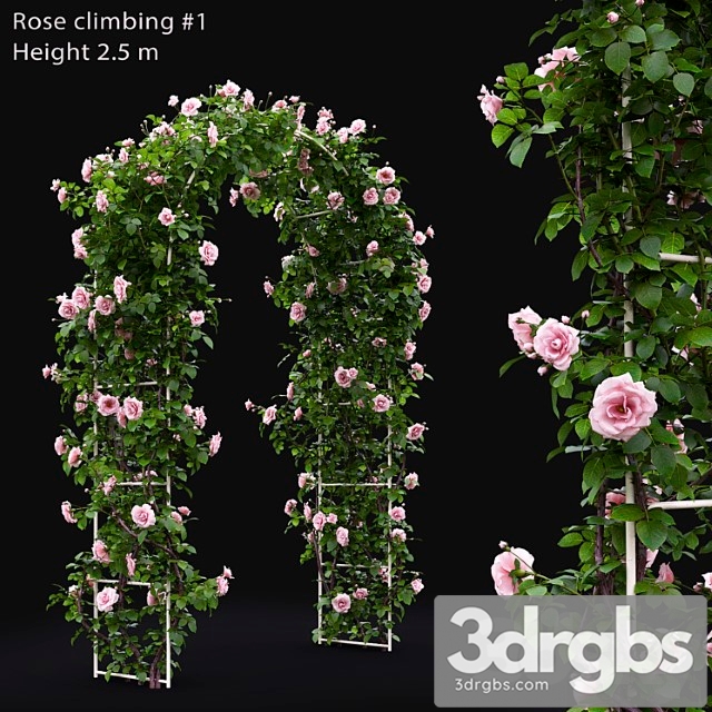 Gate Rose 26 3dsmax Download - thumbnail 1