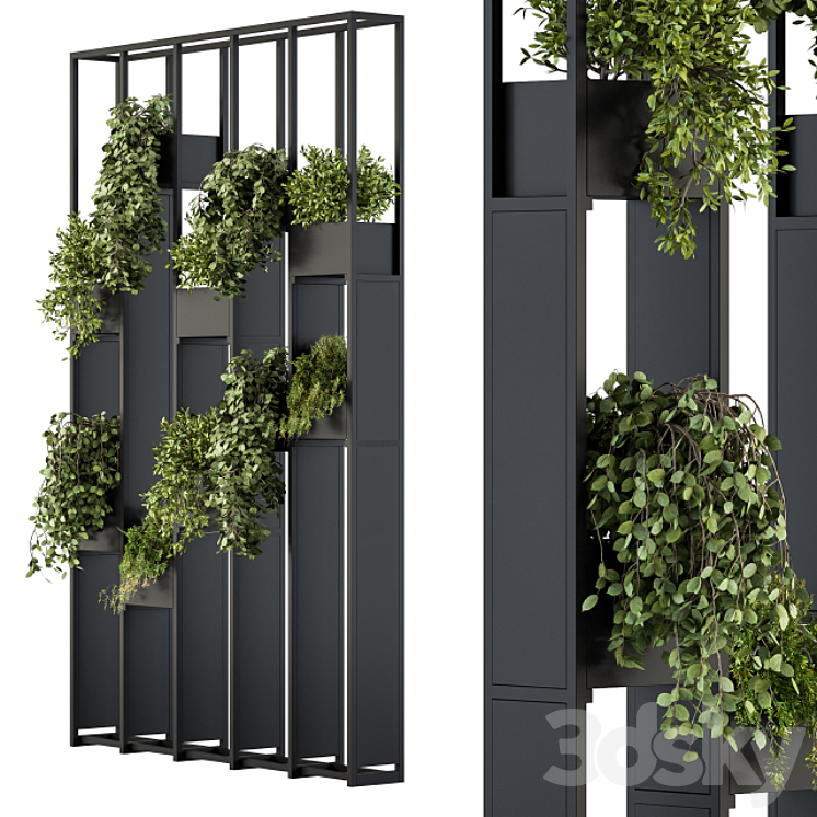 Green Wall – Plants partition 02 3DS Max Model - thumbnail 2