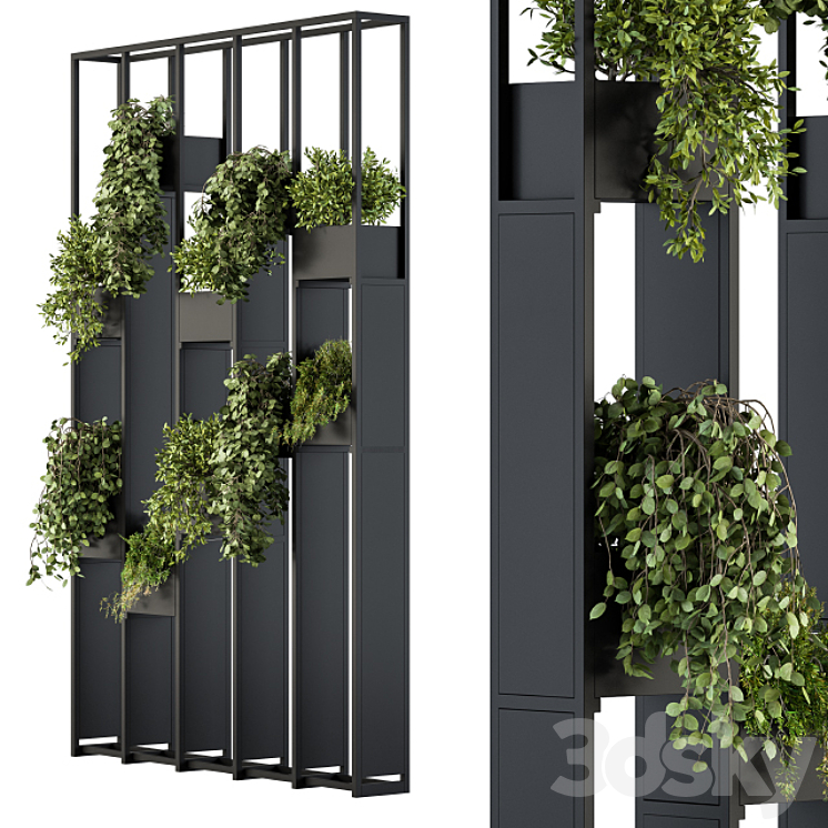 Green Wall – Plants partition 02 3DS Max - thumbnail 2