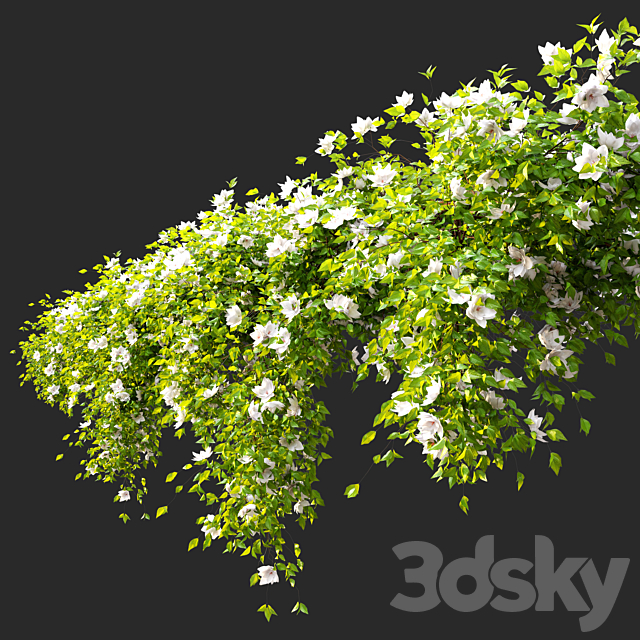 Hanging Plant 15 3DS Max Model - thumbnail 3