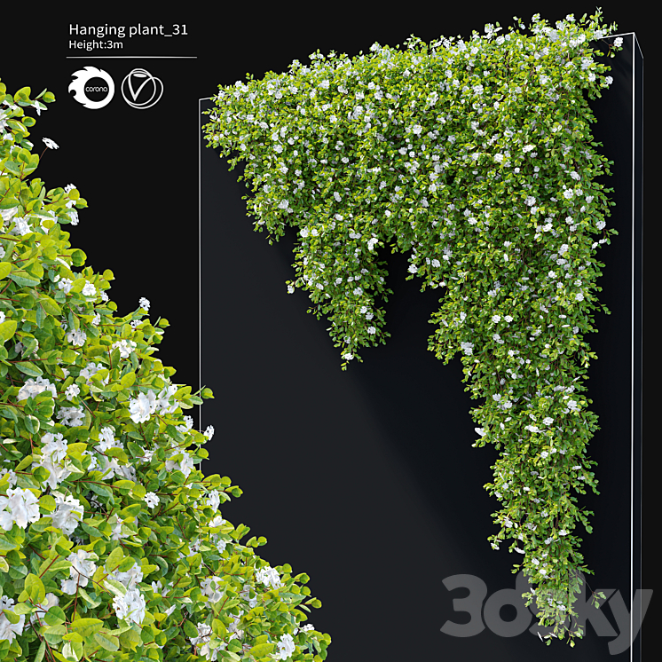 Hanging Plant 31 3DS Max Model - thumbnail 3
