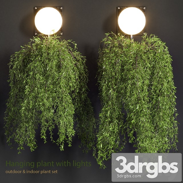 Hanging Plant With Lights 6 3dsmax Download - thumbnail 1