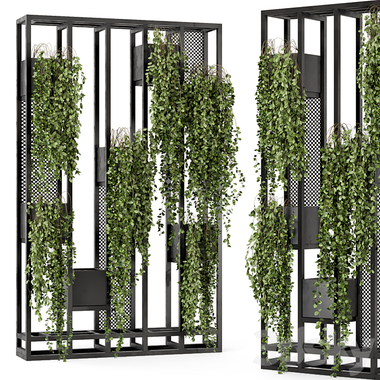 Indoor Hanging Plants in Metal Stand – Set 848 3DS Max - thumbnail 1