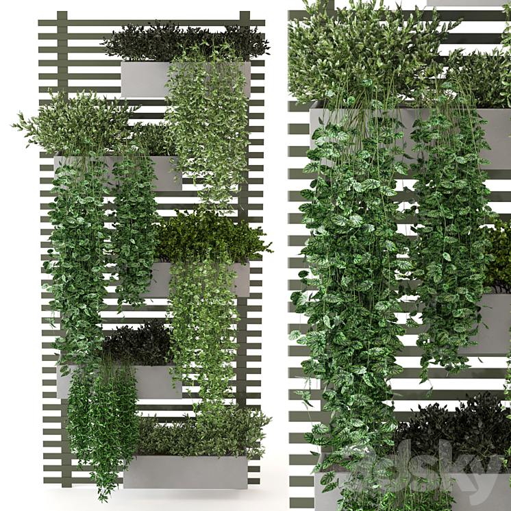 Indoor Plants Collection – Set 393 3DS Max - thumbnail 1