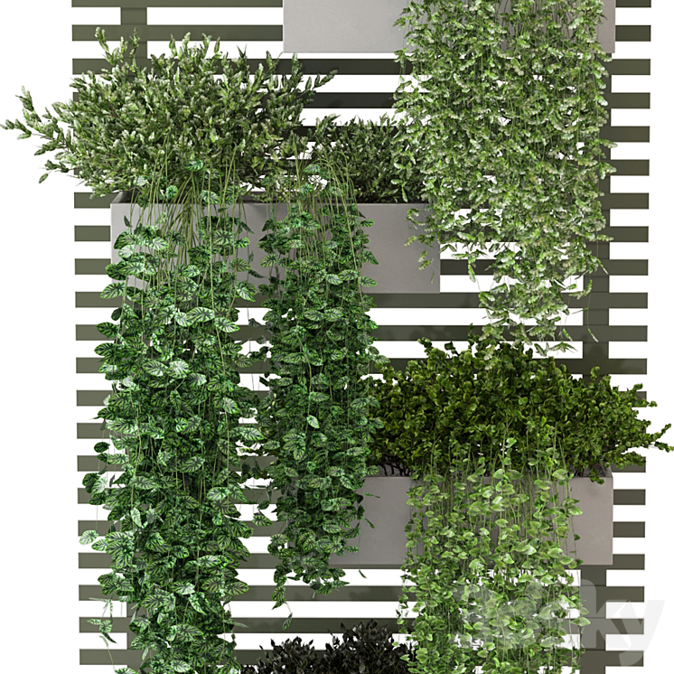 Indoor Plants Collection – Set 393 3DS Max - thumbnail 2