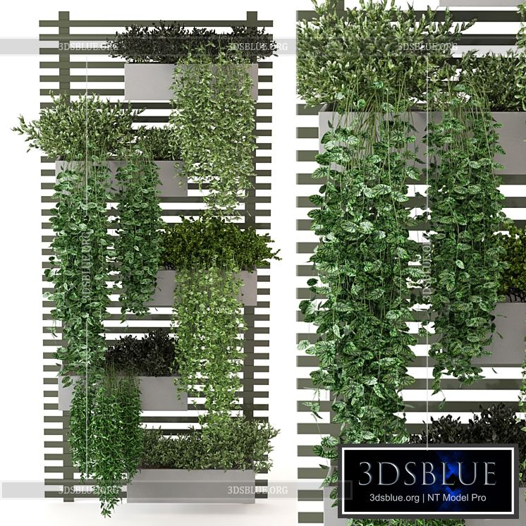 Indoor Plants Collection – Set 393 3DS Max - thumbnail 3