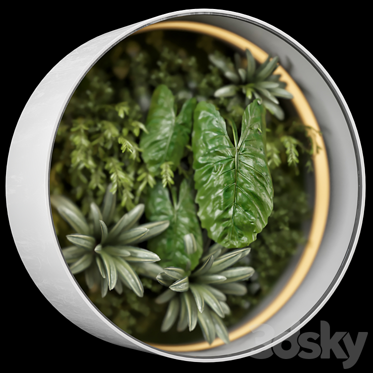 Indoor Wall Garden Behind the Opaque Glass – Set 870 3DS Max - thumbnail 1