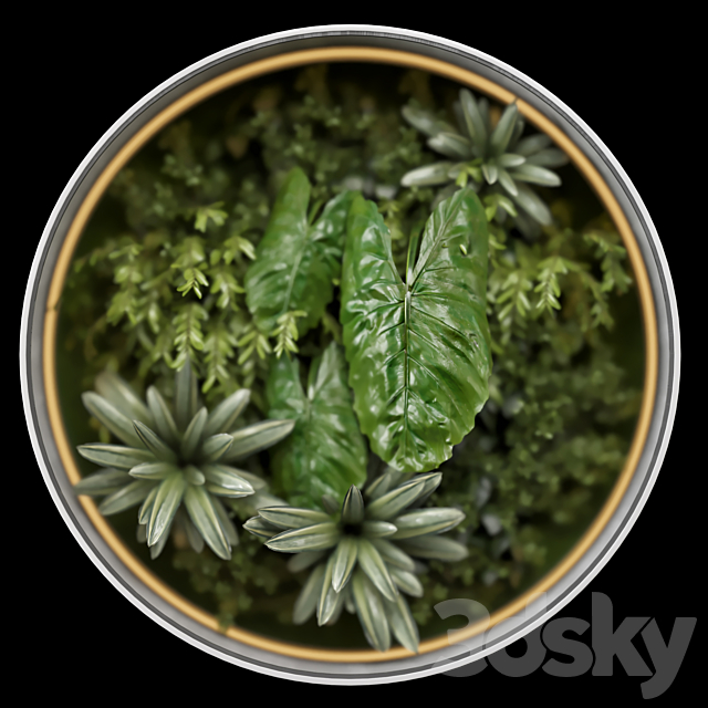 Indoor Wall Garden Behind the Opaque Glass – Set 870 3DSMax File - thumbnail 2