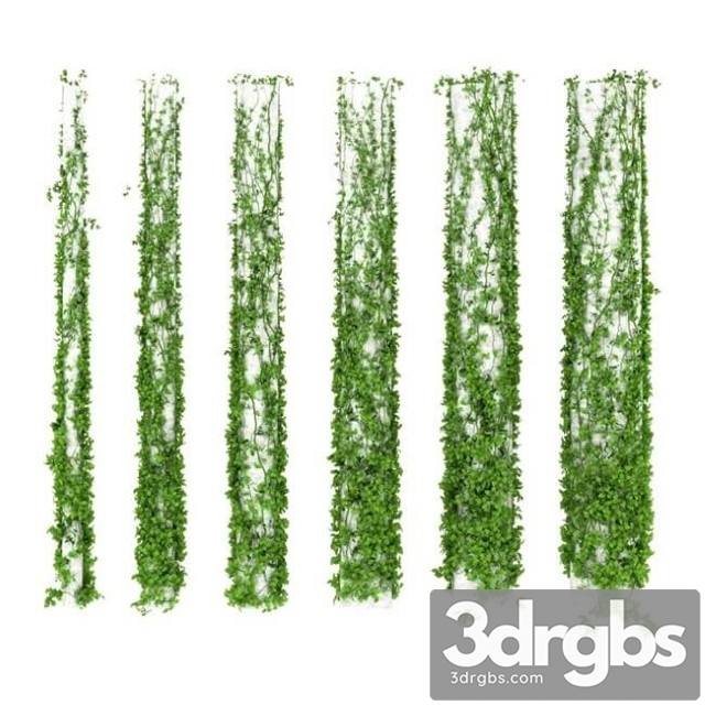 Ivy Leaves Plant Columns 3dsmax Download - thumbnail 1