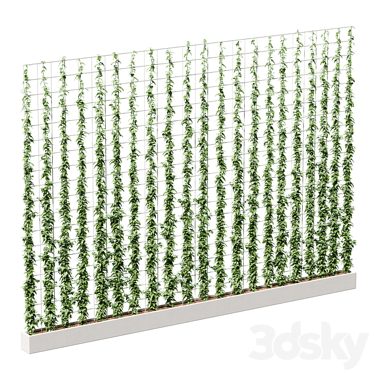 Ivy on the grid 3DS Max - thumbnail 1