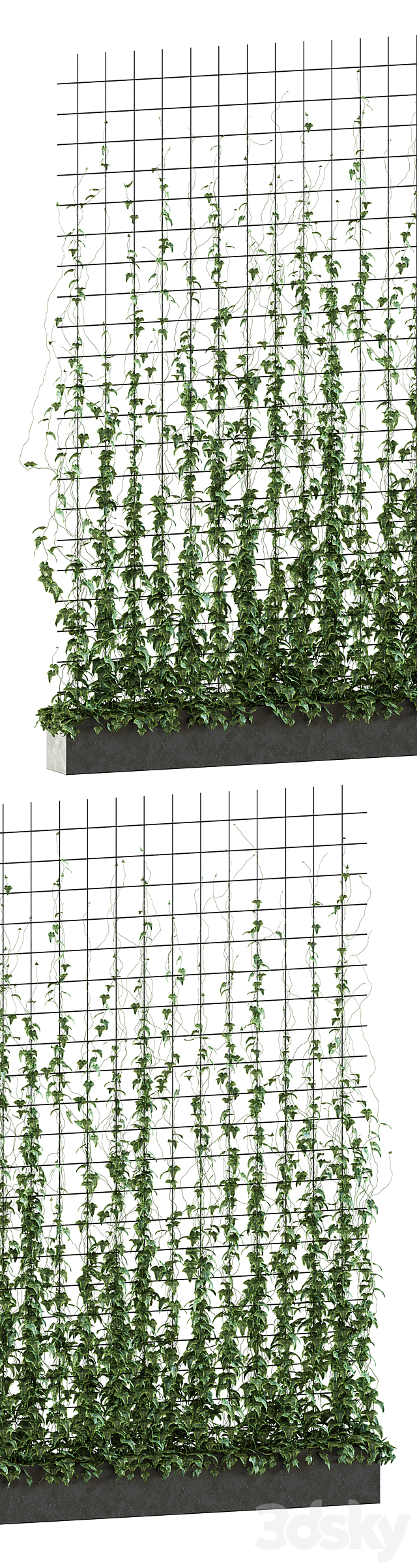 Ivy on the grid v2 3ds Max - thumbnail 2