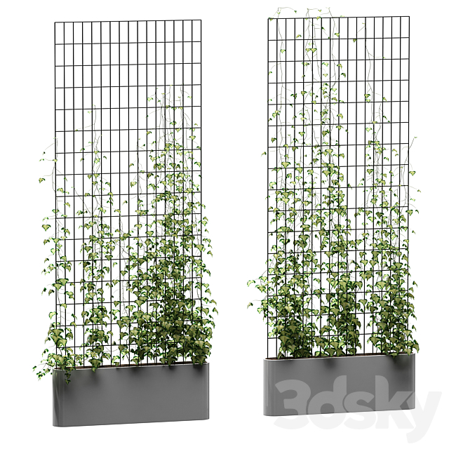 Ivy on the grid v3 3DSMax File - thumbnail 1