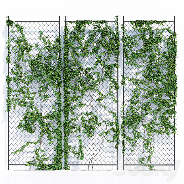 Ivy wall 3DS Max Model - thumbnail 2