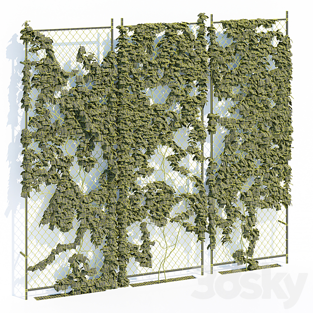 Ivy wall 3DS Max Model - thumbnail 3