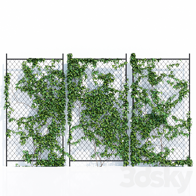 Ivy wall two 3DS Max Model - thumbnail 2