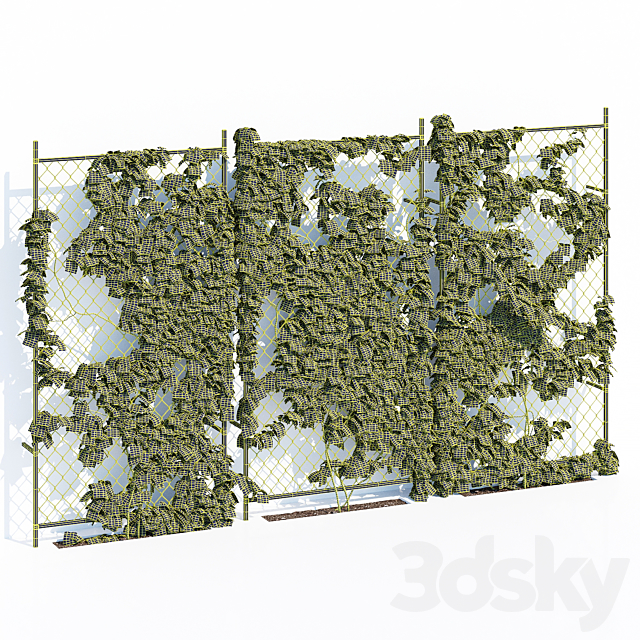 Ivy wall two 3DS Max Model - thumbnail 3