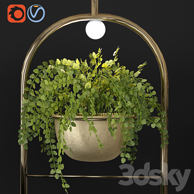 Metal hanging lamp Indoor Plant partition 3DS Max Model - thumbnail 3