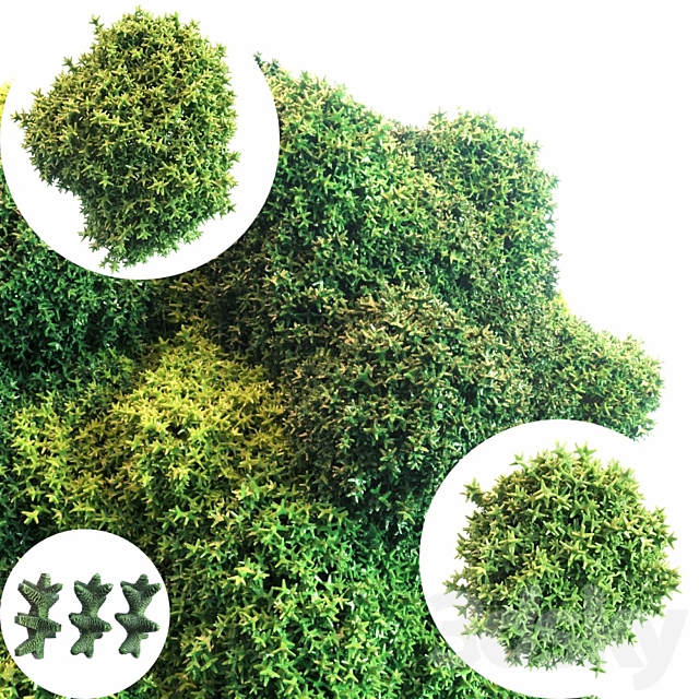 Moss 3DSMax File - thumbnail 1