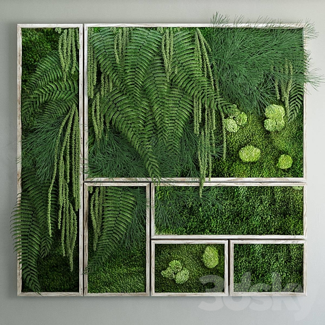 Moss and fern fytowall 3DSMax File - thumbnail 1