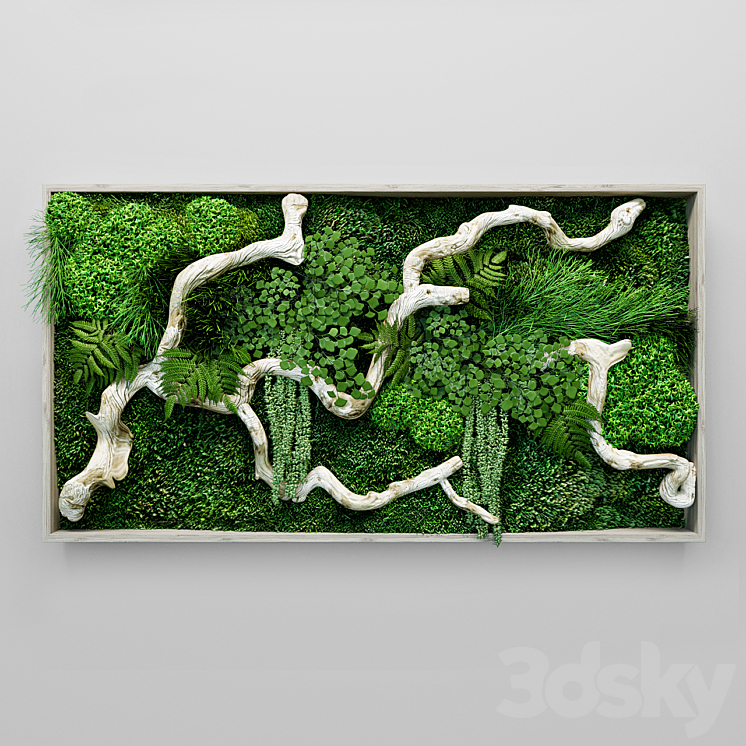 Moss fern and snag fytowall 3DS Max - thumbnail 1