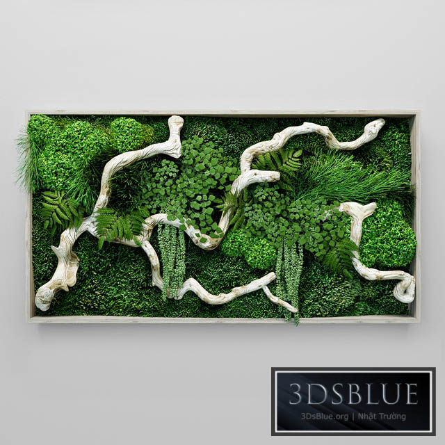 Moss fern and snag fytowall 3DS Max - thumbnail 3