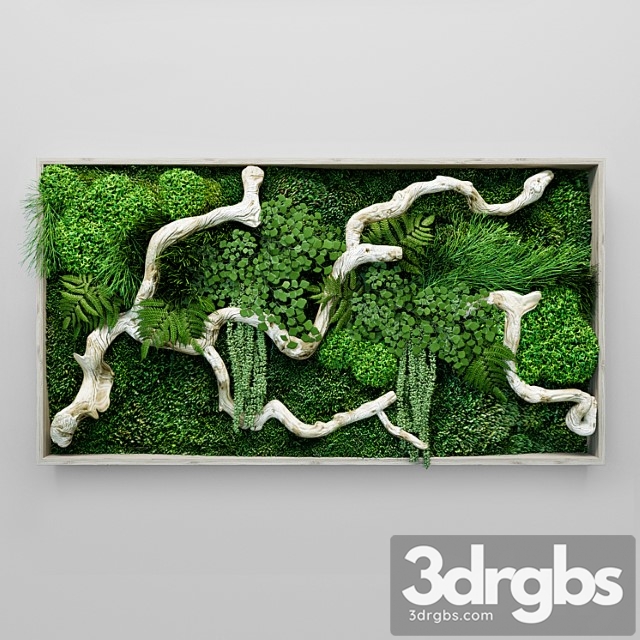 Moss, fern and snag fytowall - thumbnail 1