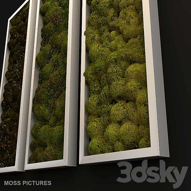 Moss pictures 3DS Max Model - thumbnail 2