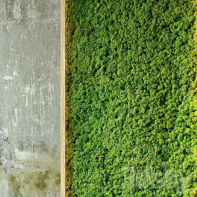 Moss wall 3DS Max Model - thumbnail 2