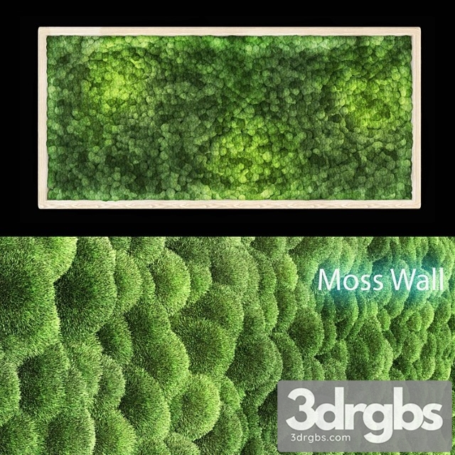 Moss wall - thumbnail 1