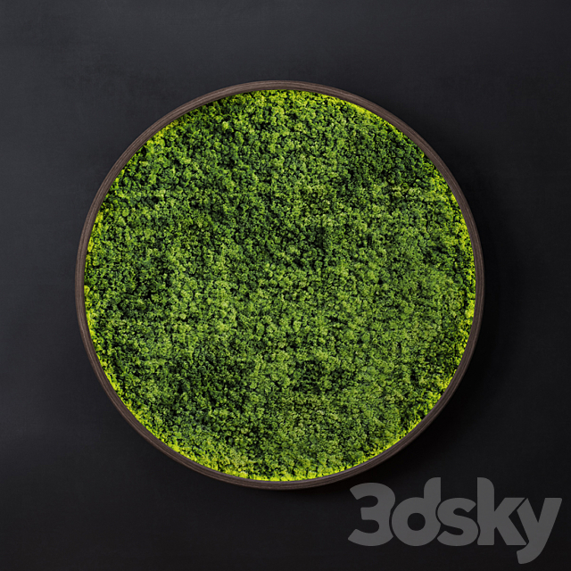 Moss wall disk 3ds Max - thumbnail 1