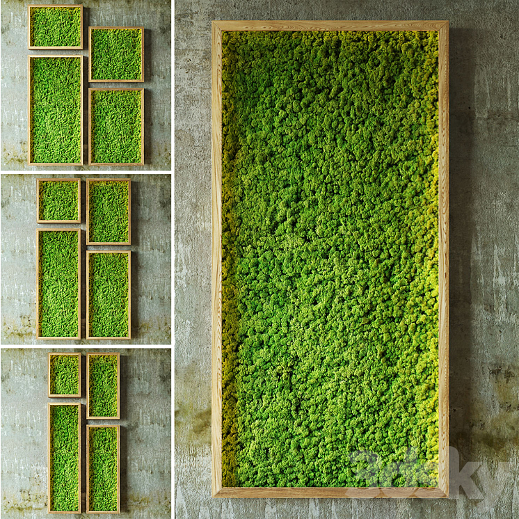 Moss walls 3DS Max - thumbnail 1