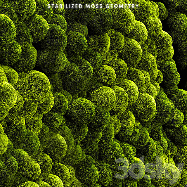 Mosswalls 2 3DS Max Model - thumbnail 3