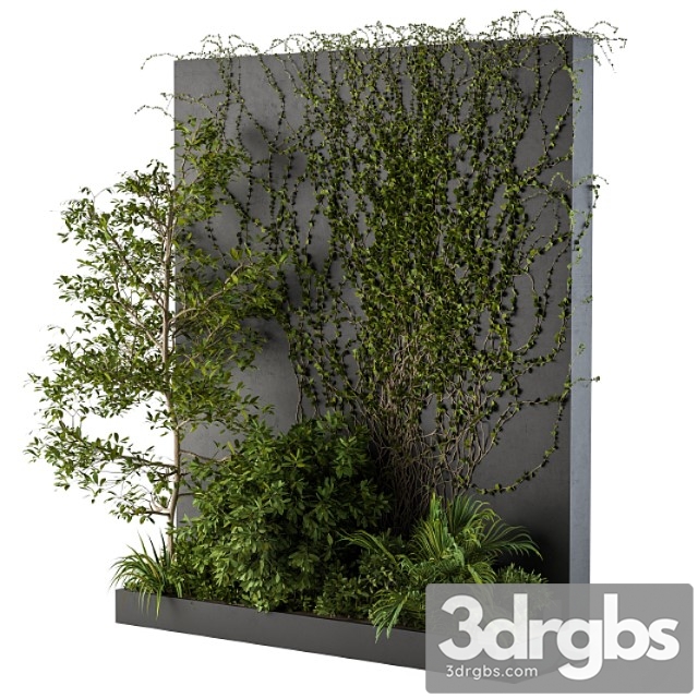 Outdoor green wall with garden ivy - thumbnail 1