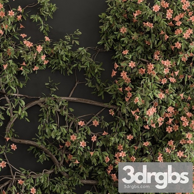 Outdoor Plant Set 426 Ivy on Wall 3dsmax Download - thumbnail 1