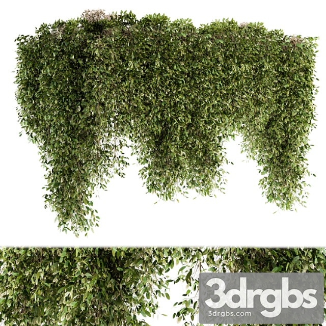 Outdoor Plant Set 96 Hanging Plants 3dsmax Download - thumbnail 1