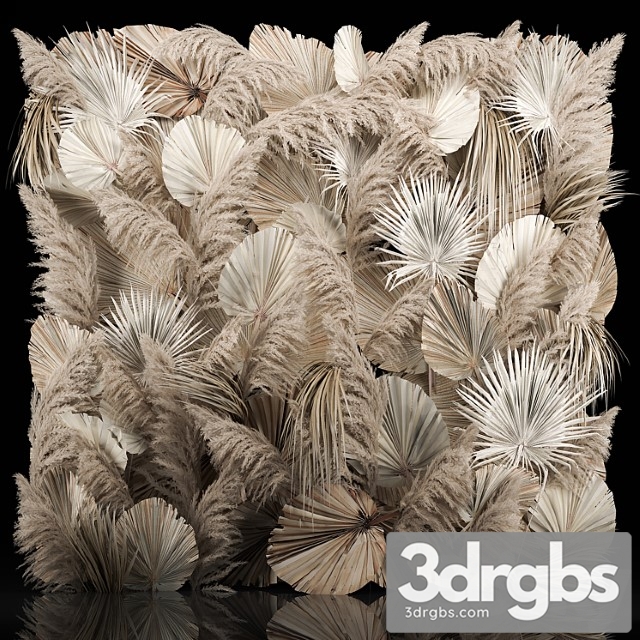 Pampas Grass Dry Palm Branches Cortaderia Leaves And Reeds 274 3dsmax Download - thumbnail 1