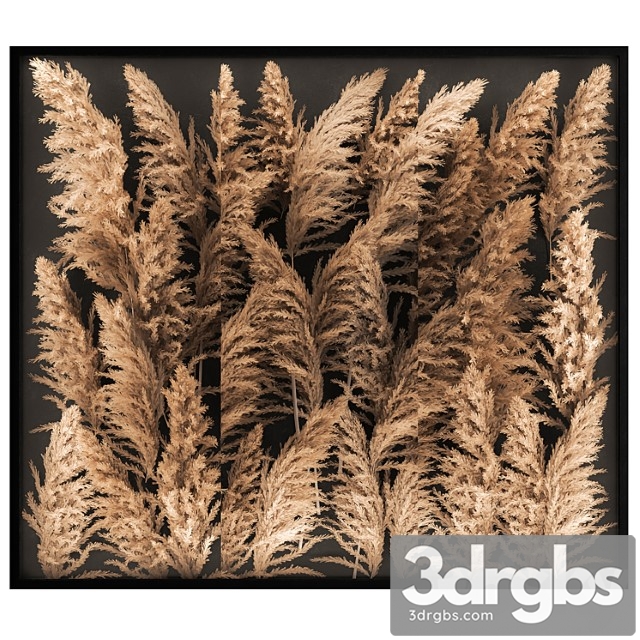 Phytostena of dried flowers behind glass made of reeds, pampas grass, wall decoration made of cortaderia. 258. - thumbnail 1