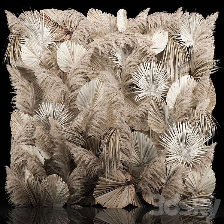 Phytostena of dried flowers pampas grass dry palm branches leaves Cortaderia and reeds. 274. 3DS Max - thumbnail 1