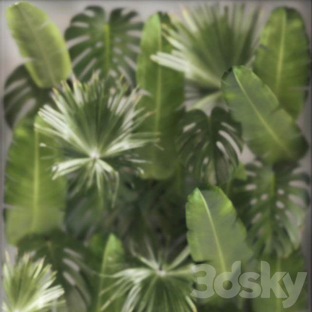 Phytowall and phytobox made of banana palm branches and fan palm leaves in a niche behind a translucent stack. 70. 3DS Max Model - thumbnail 4