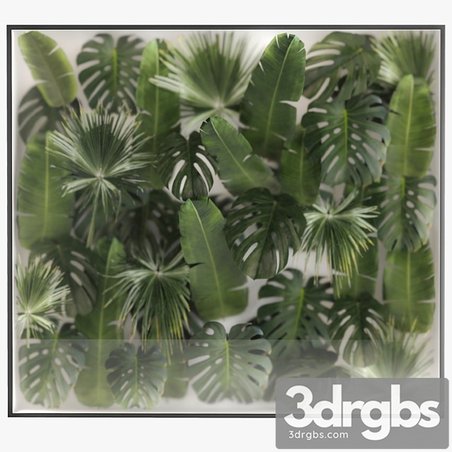 Phytowall and Phytobox Made of Banana Palm Branches and Fan Palm Leaves in a Niche Behind a Translucent Stack Bouquet 287 3dsmax Download - thumbnail 1